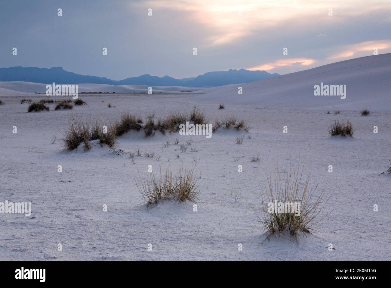 Les champs de dunes de gypse de White Sands National Monument dans le Nouveau Mexique, soutenu par les montagnes San Andrés Banque D'Images