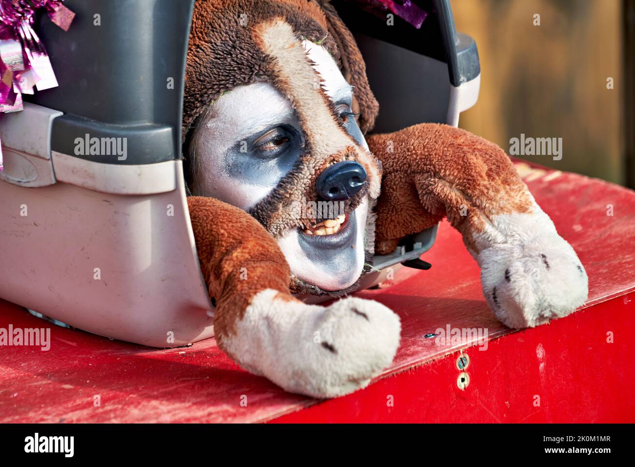 Venise Italie. Le Carnaval Banque D'Images