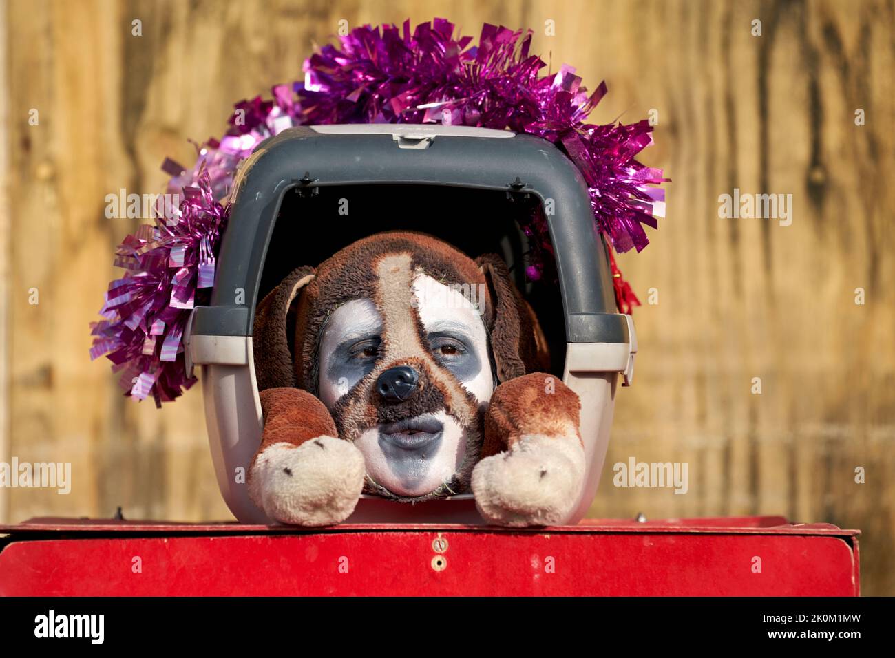 Venise Italie. Le Carnaval Banque D'Images