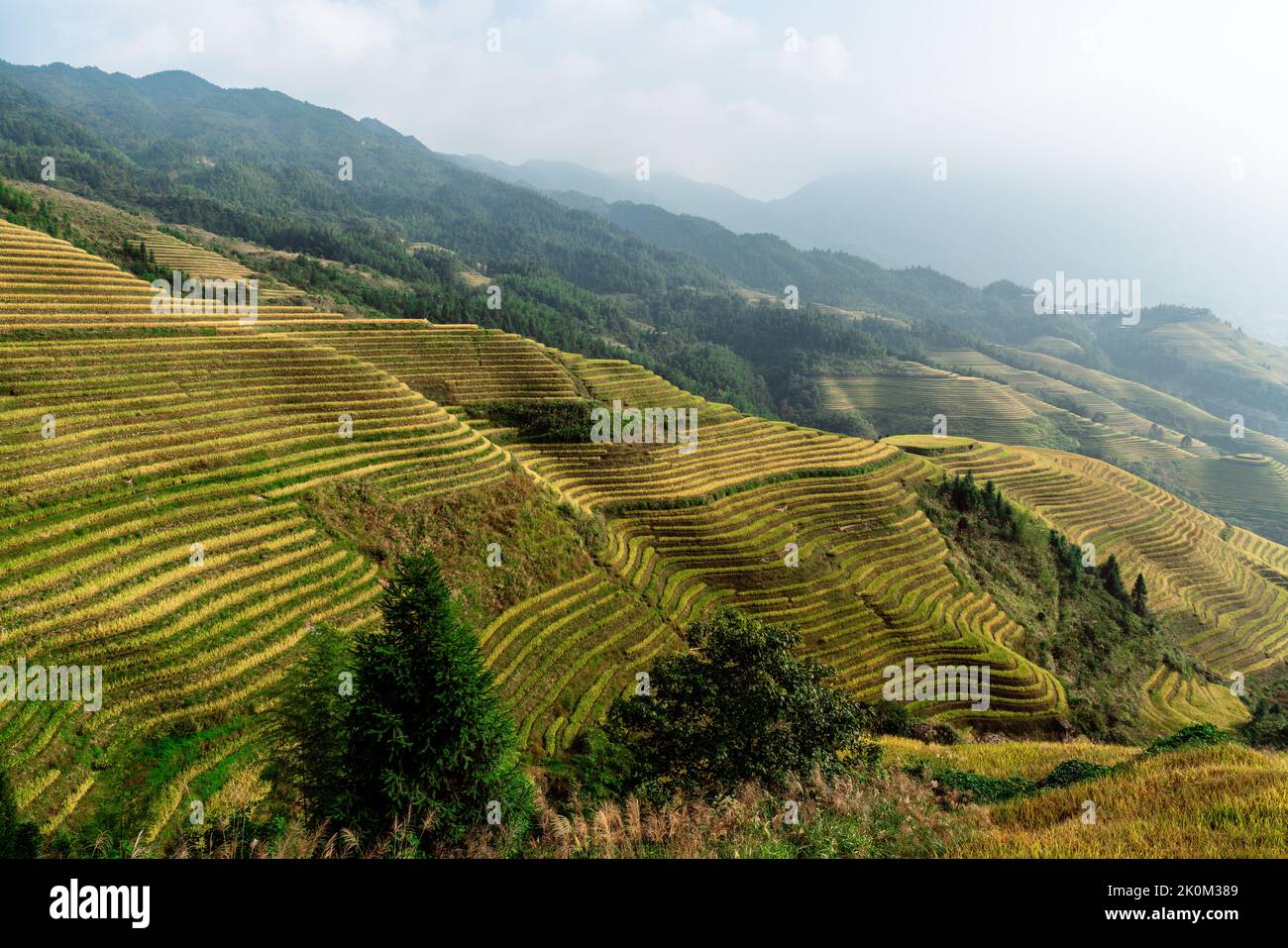 Longji Rice terrasses Chine vue aérienne lever du soleil Banque D'Images