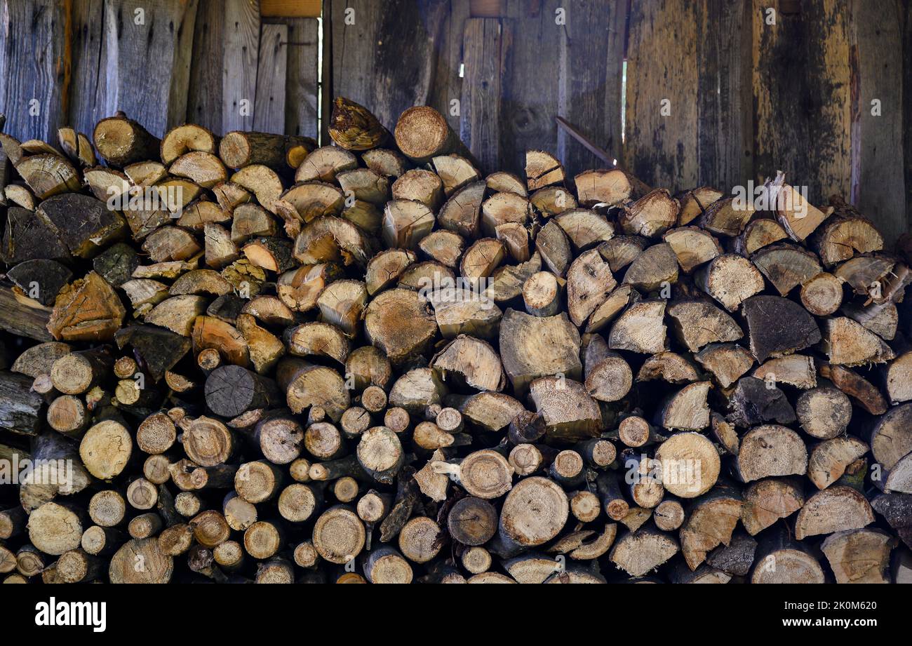 Une pile de bois stockée pour l'hiver pour le four sous la voûte Banque D'Images