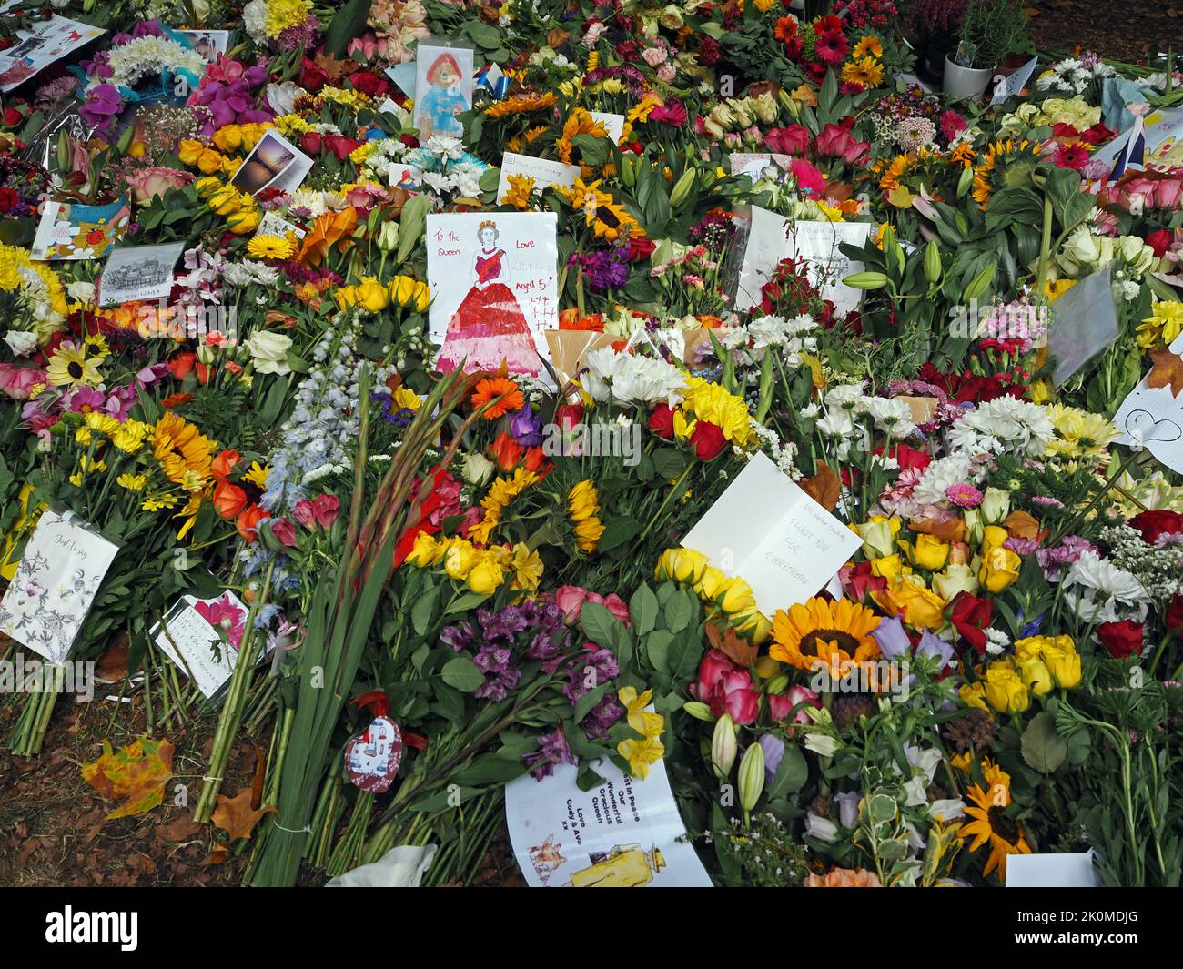 Londres, Royaume-Uni. 12th septembre 2022. Décès de la reine Elizabeth II Des foules de gens affluent à Londres pour rendre hommage à feu la reine Elizabeth. Nombreuses fleurs au palais de Buckingham et au parc Green. Crédit : Julia Gavin/Alamy Live News Banque D'Images Londres, Royaume-Uni. 12th septembre 2022. Décès de la reine Elizabeth II Des foules de gens affluent à Londres pour rendre hommage à feu la reine Elizabeth. Nombreuses fleurs au palais de Buckingham et au parc Green. Crédit : Julia Gavin/Alamy Live News Banque D'Images