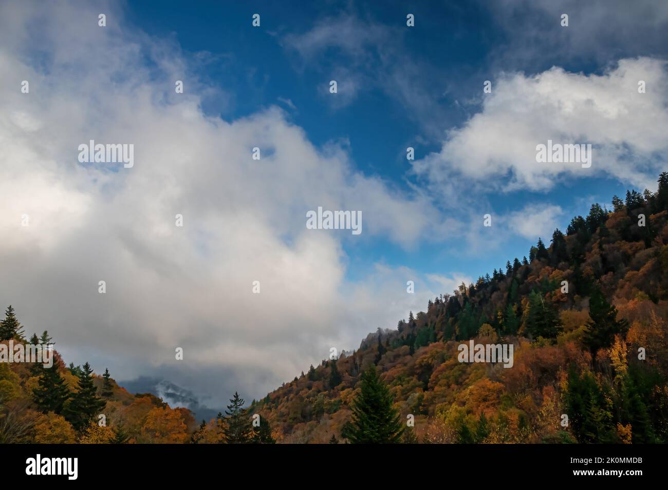 La couleur de l'automne est enveloppée par la brume de l'après-midi dans la vallée d'oconaluftee depuis Mills Overlook, parc national des Great Smoky Mountains, comté, Caroline du Nord Banque D'Images