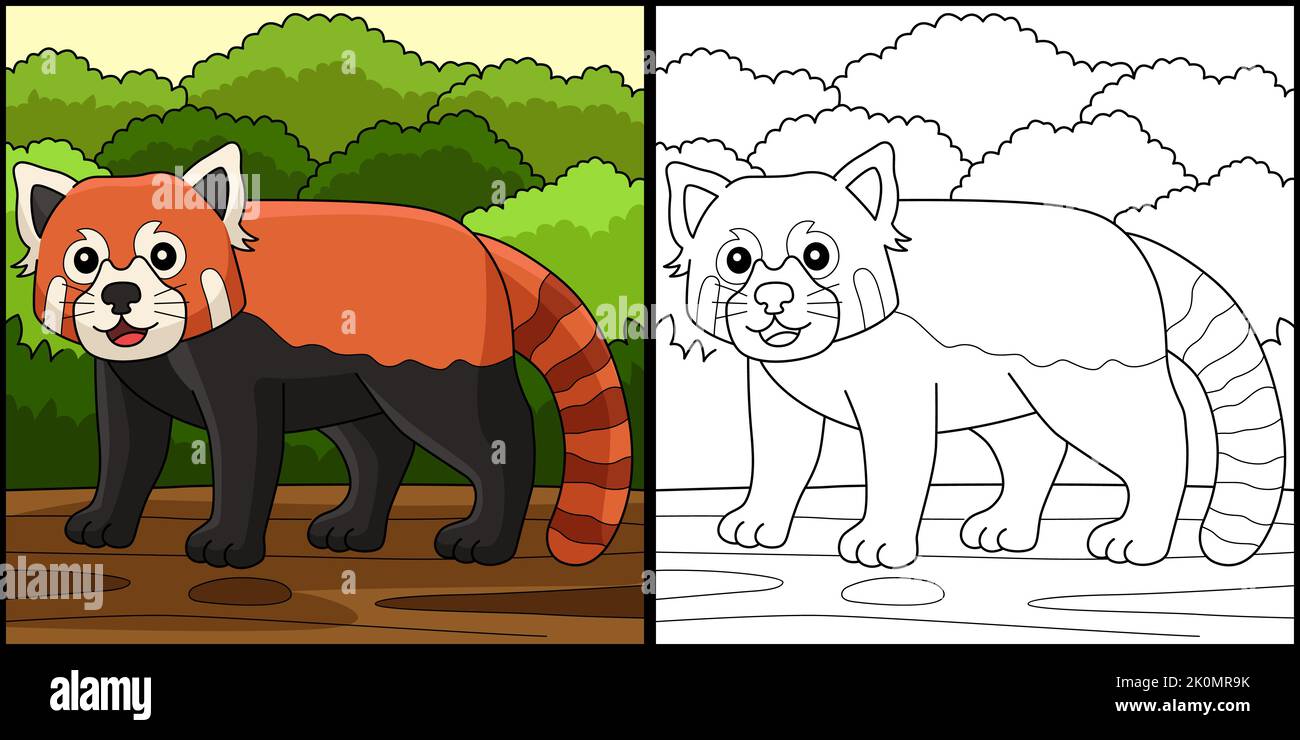 Illustration de la page de coloriage animal de Panda rouge Illustration de Vecteur