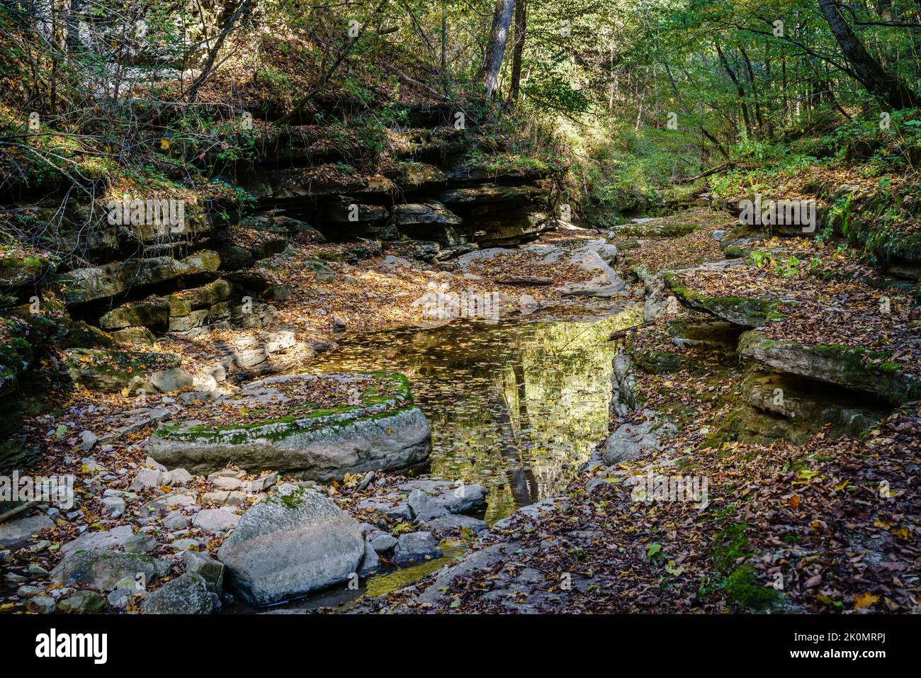 Raven Run creek et ravin dans le sanctuaire naturel de Raven Run à Lexington, Kentucky Banque D'Images