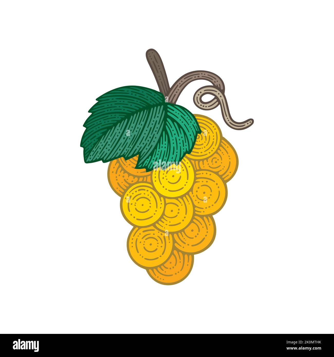 Illustration vectorielle de style vintage à motif grappe de raisin. Dessin à la main de raisin et de vigne. Partie de l'ensemble. Illustration de Vecteur
