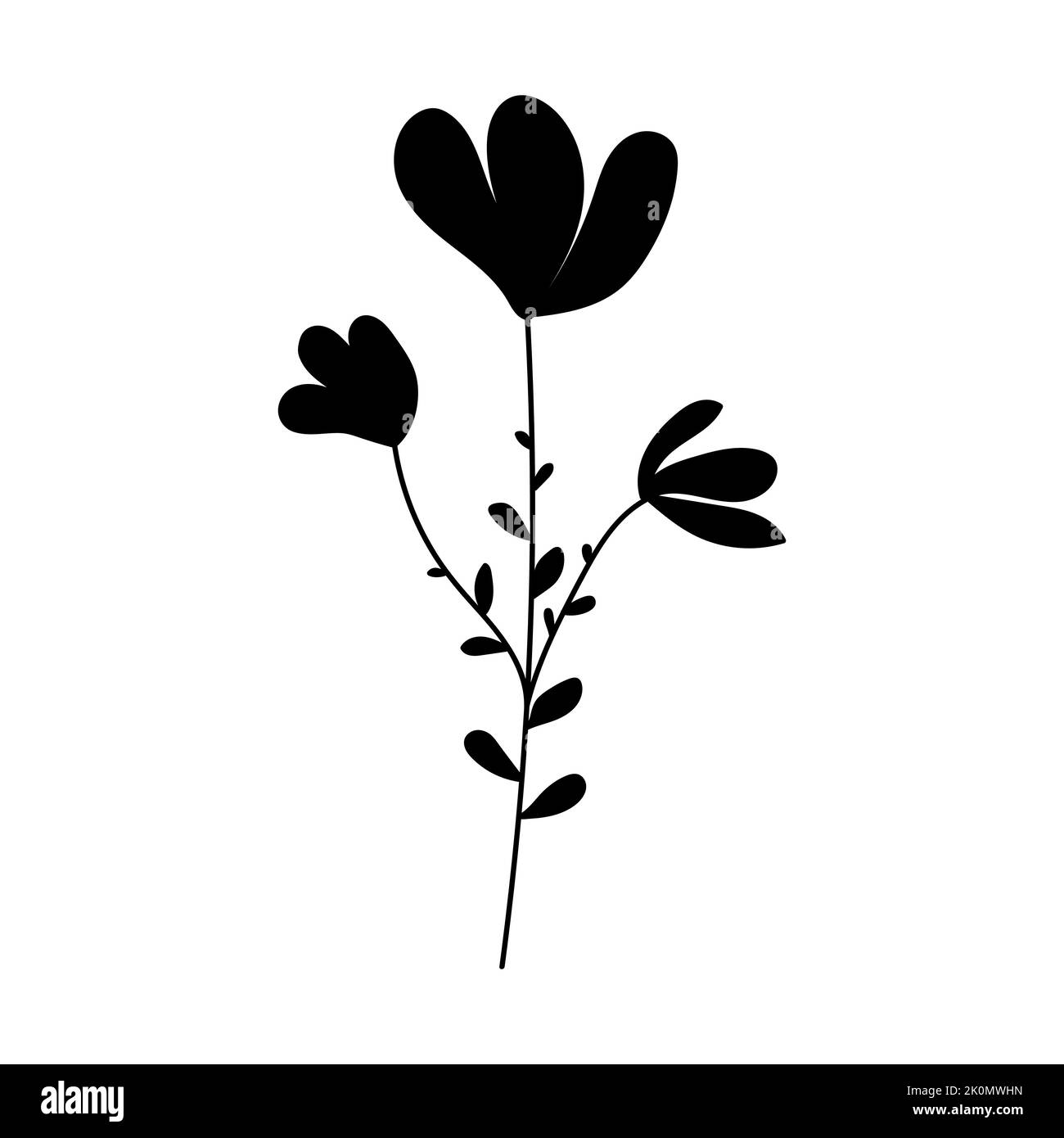 Image de silhouette de camomille. Illustration vectorielle d'une fleur. Fleurs et plantes Illustration de Vecteur