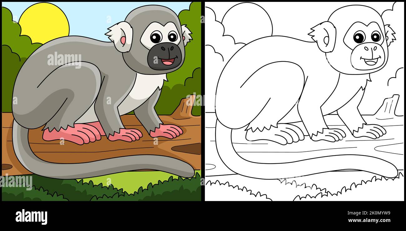 Illustration de la page de coloriage animal singe écureuil Illustration de Vecteur