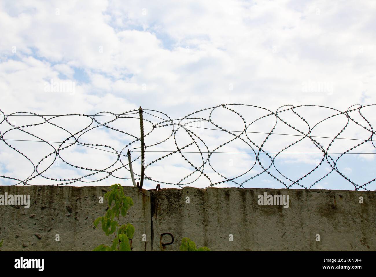 Fil barbelé sur la clôture. Clôture en acier inoxydable barbez fil avec des bords tranchants sur un mur en béton massif pour la sécurité sur le fond d'un ciel bleu Banque D'Images