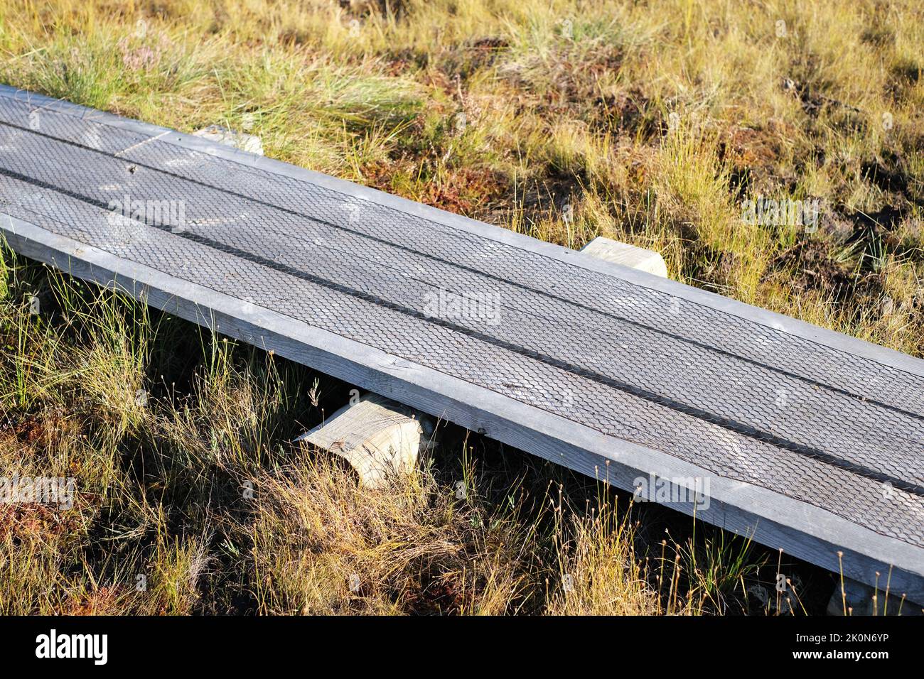 Un chemin en bois dans le parc national en Estonie au milieu de la forêt et tourbière par temps clair Banque D'Images