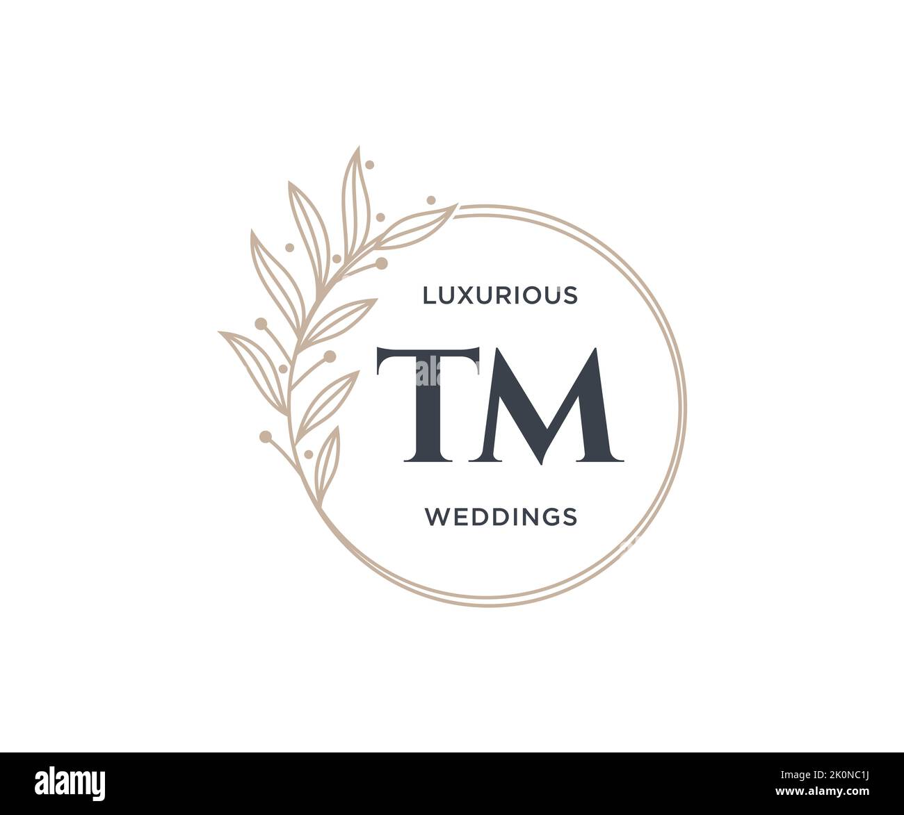 TM lettre initiale de mariage modèle de logos de monogramme, dessin à la main moderne minimaliste et modèles floraux pour cartes d'invitation, Enregistrer la date, élégant Illustration de Vecteur