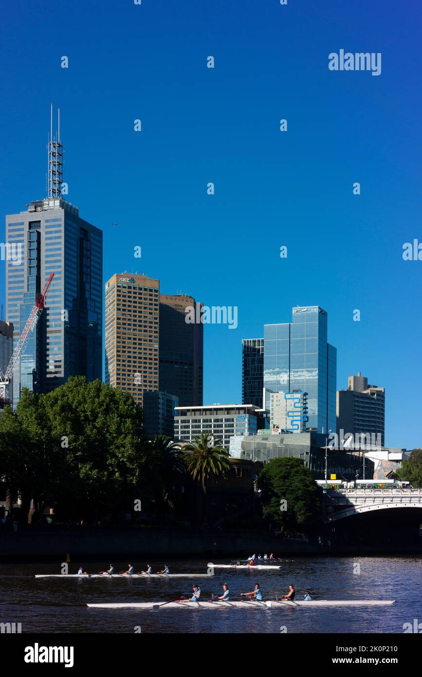 Rameurs sur la Yarra River de Melbourne avec des bâtiments du quartier des affaires au-delà. Banque D'Images