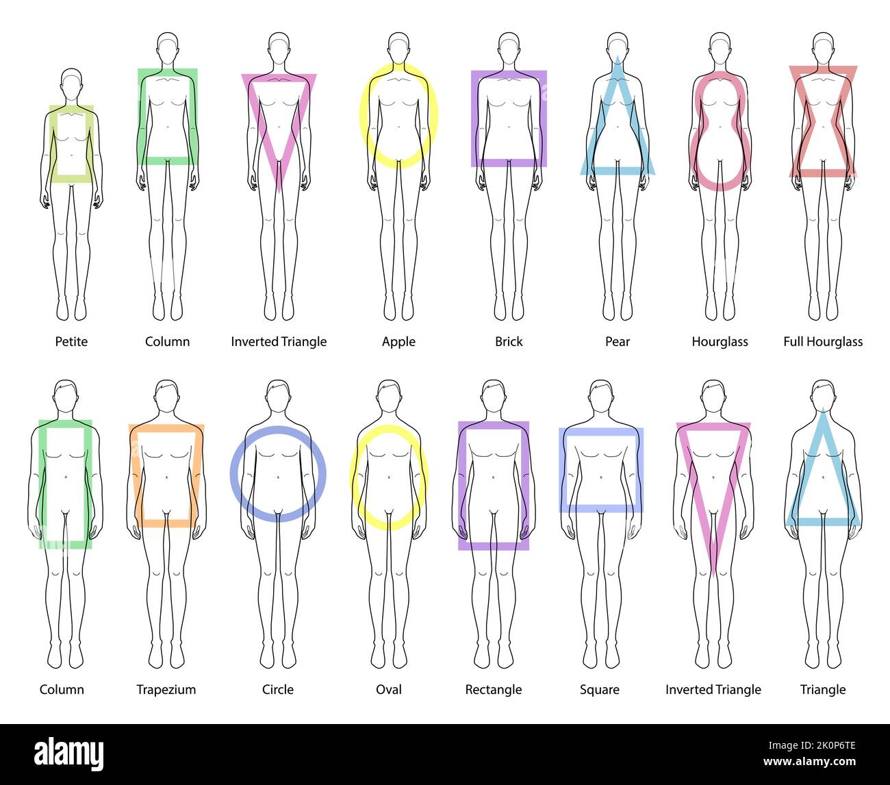 Ensemble de formes de corps femmes et hommes types: pomme, poire, triangle inversé, rectangle, colonne, trapèze, cercle, ovale, carré, brique, hourglass, rond, petit. Illustration vectorielle mâle et femelle Illustration de Vecteur