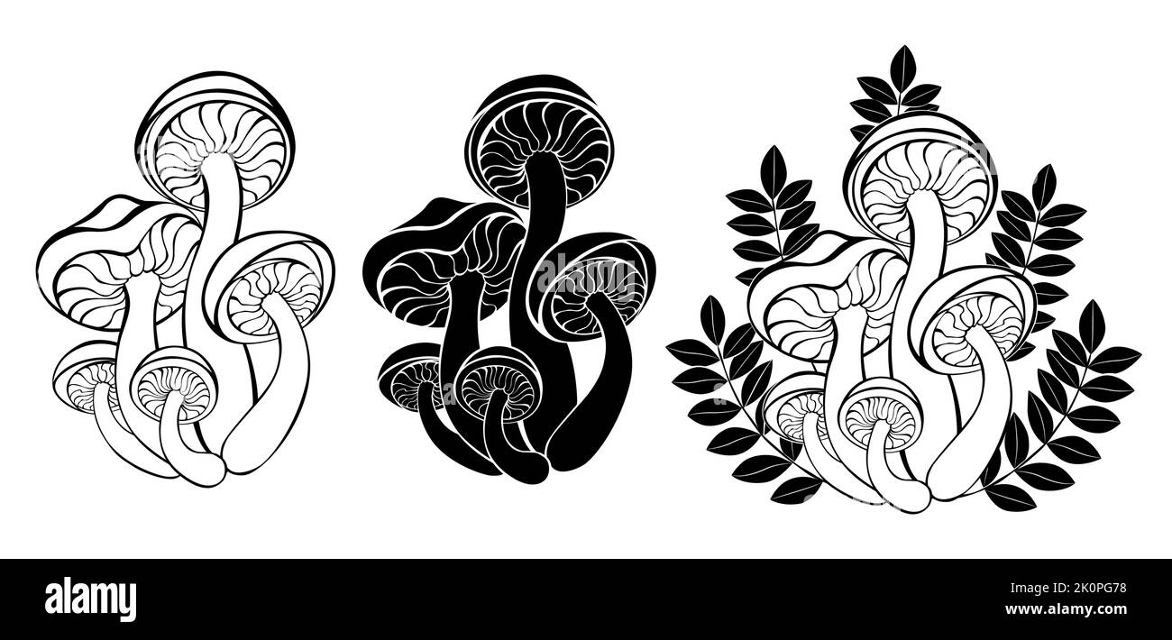 Artistiquement dessinés, contour et silhouette des champignons sauvages sur fond blanc. Gobincore. Cottagecore. Mushrocore. Illustration de Vecteur