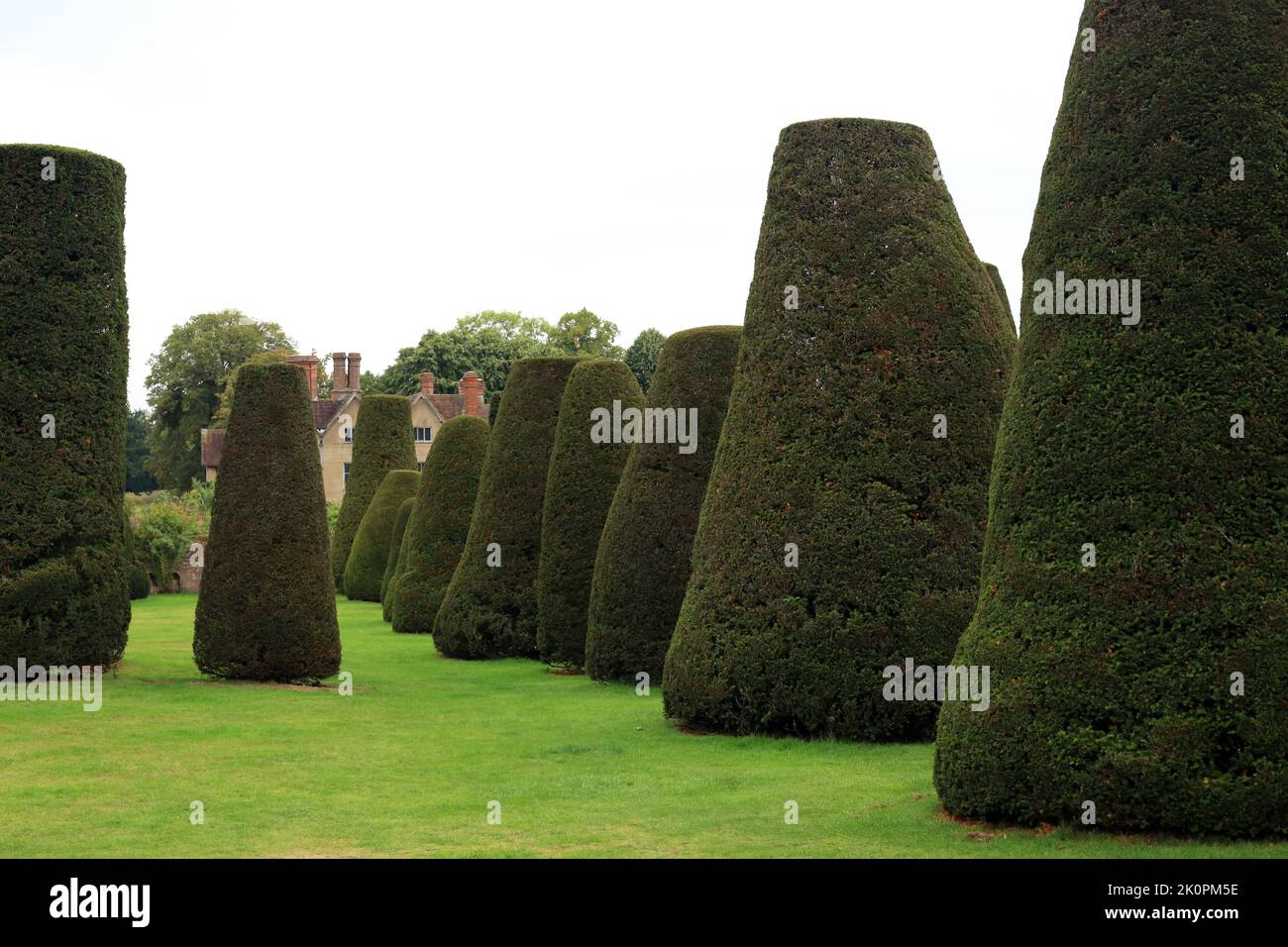 Le jardin de Yew à la maison Packwood, Warwickshire, Angleterre, Royaume-Uni. Banque D'Images