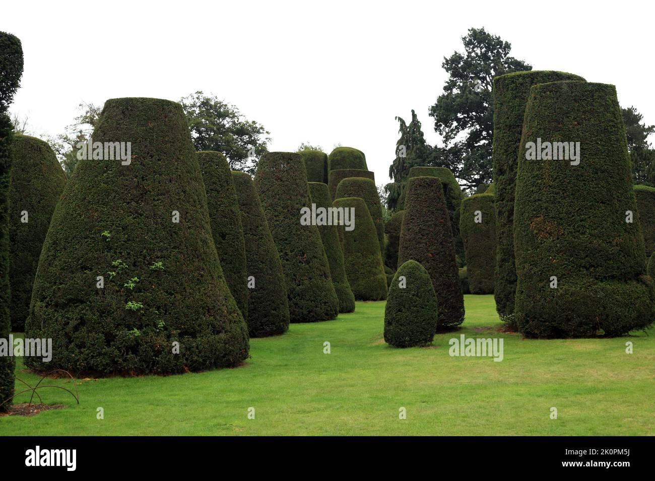 Le jardin de Yew à la maison Packwood, Warwickshire, Angleterre, Royaume-Uni. Banque D'Images