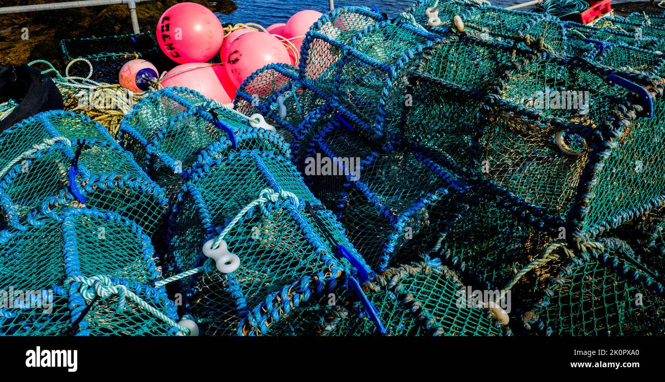Pots de homard au port dans le village d'Arinagour, la principale colonie sur l'île écossaise Hebridean de Coll. Banque D'Images