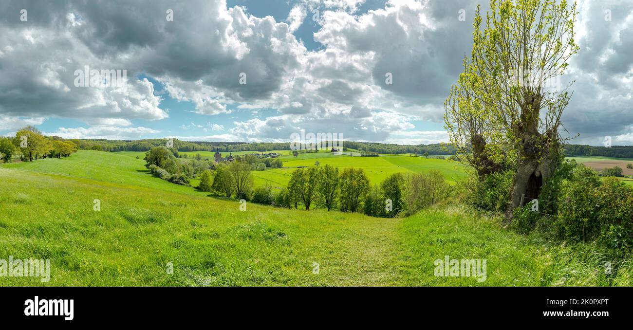 Campagne vallonnée avec le château belge appelé Kasteel van Beusdael, Terziet, Limbourg, pays-Bas, paysage, champ, prairie, arbres, printemps, moun Banque D'Images