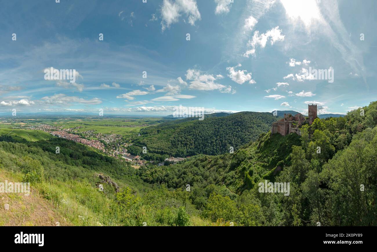 Château de Saint-Ulrich, Ribeauville, , France, château, forêt, bois, arbres, été, montagnes, Collines, *** Légende locale *** France Banque D'Images