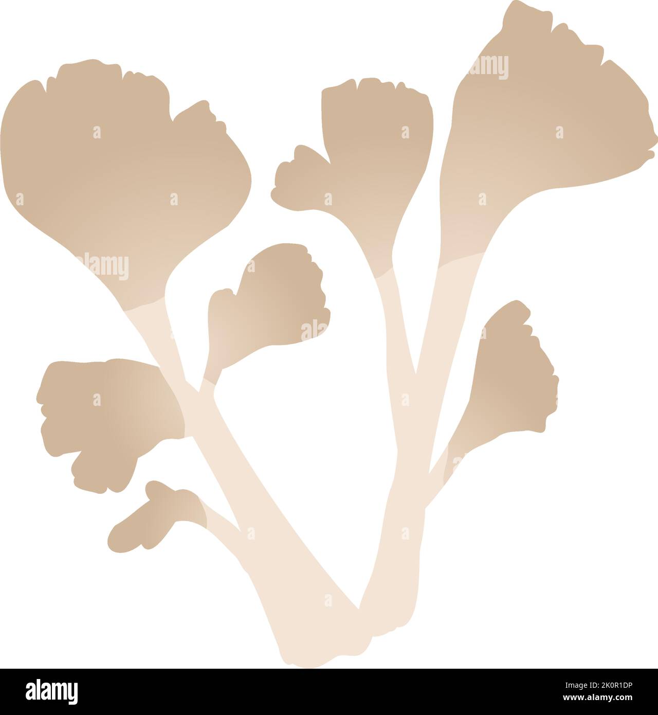 Goût d'automne, illustration simple des champignons illustration Maitake Vector Illustration de Vecteur