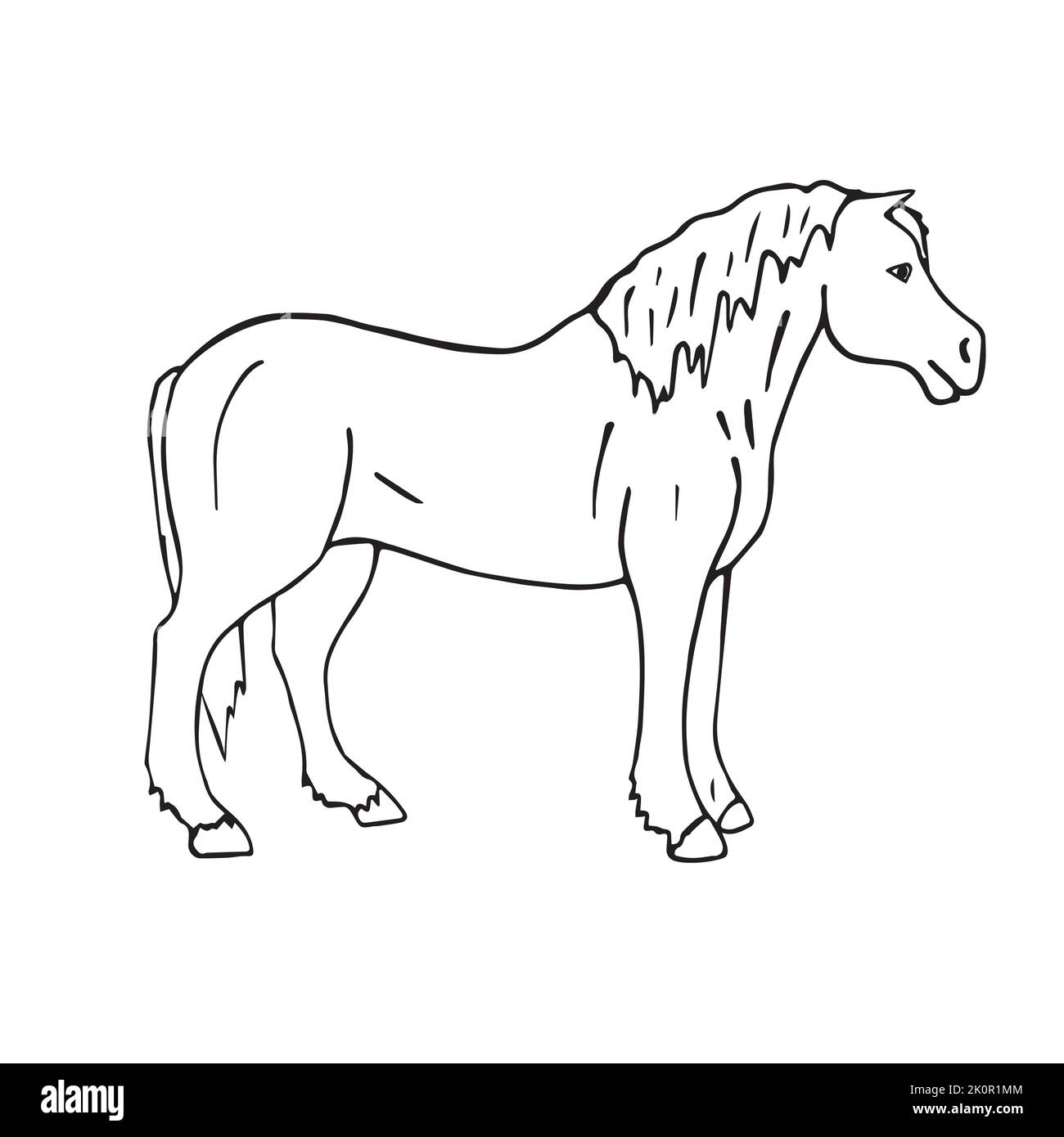 Vecteur Doodle dessiné à la main esquisse cheval de dépouille isolé sur fond blanc Illustration de Vecteur