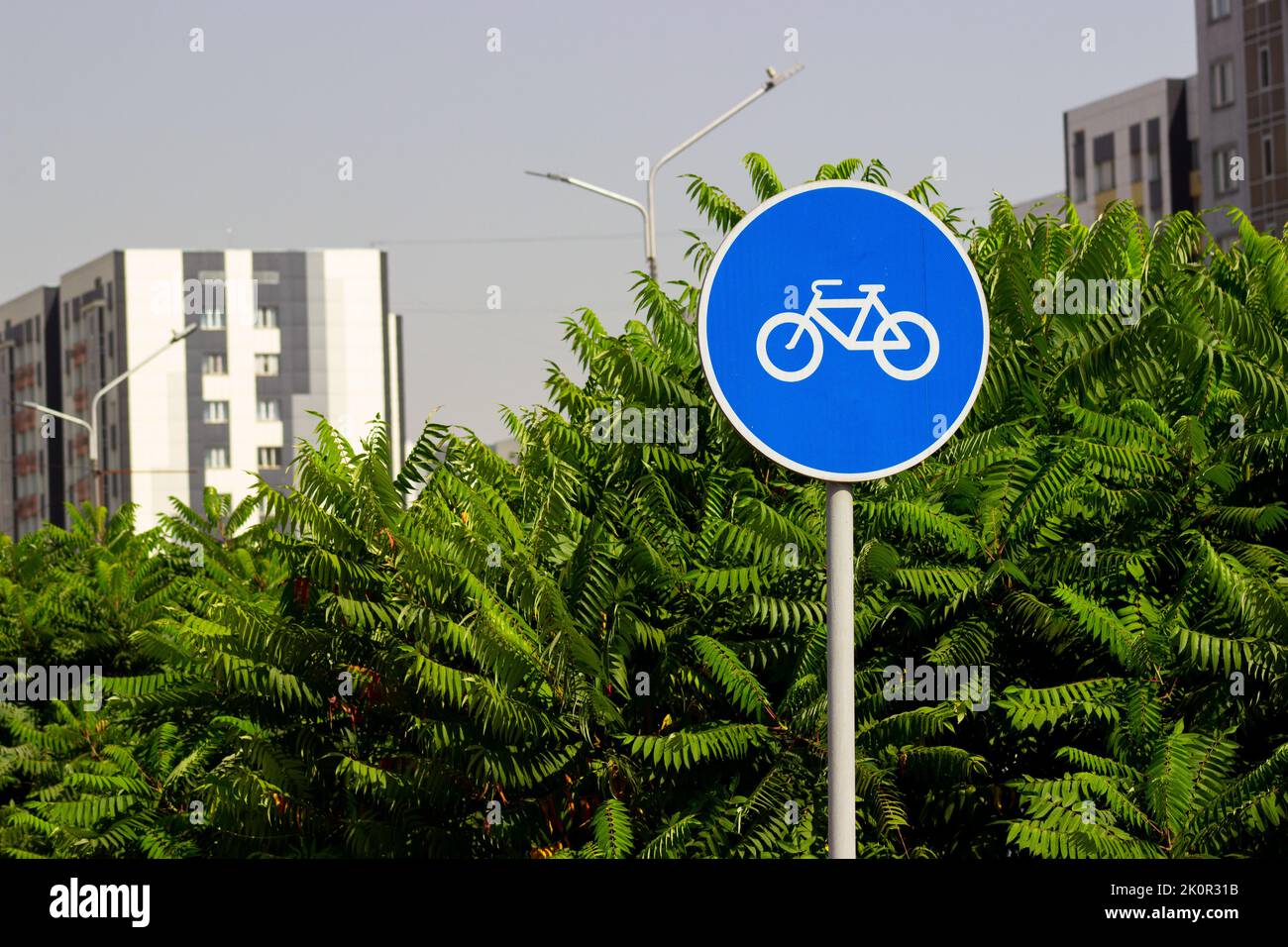 Signe de vélo avec fond d'arbres verts Banque D'Images