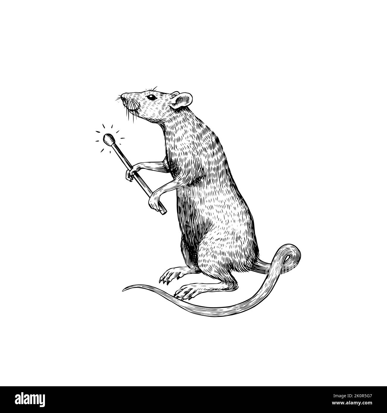Rat ou souris avec une correspondance. Animal sauvage graphique. Croquis vintage dessiné à la main. Éléments de grunge gravés. Illustration de Vecteur