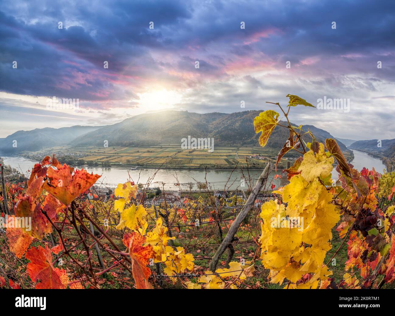 Vignobles colorés dans la vallée de Wachau contre le village de Spitz avec le Danube en Autriche, UNESCO Banque D'Images