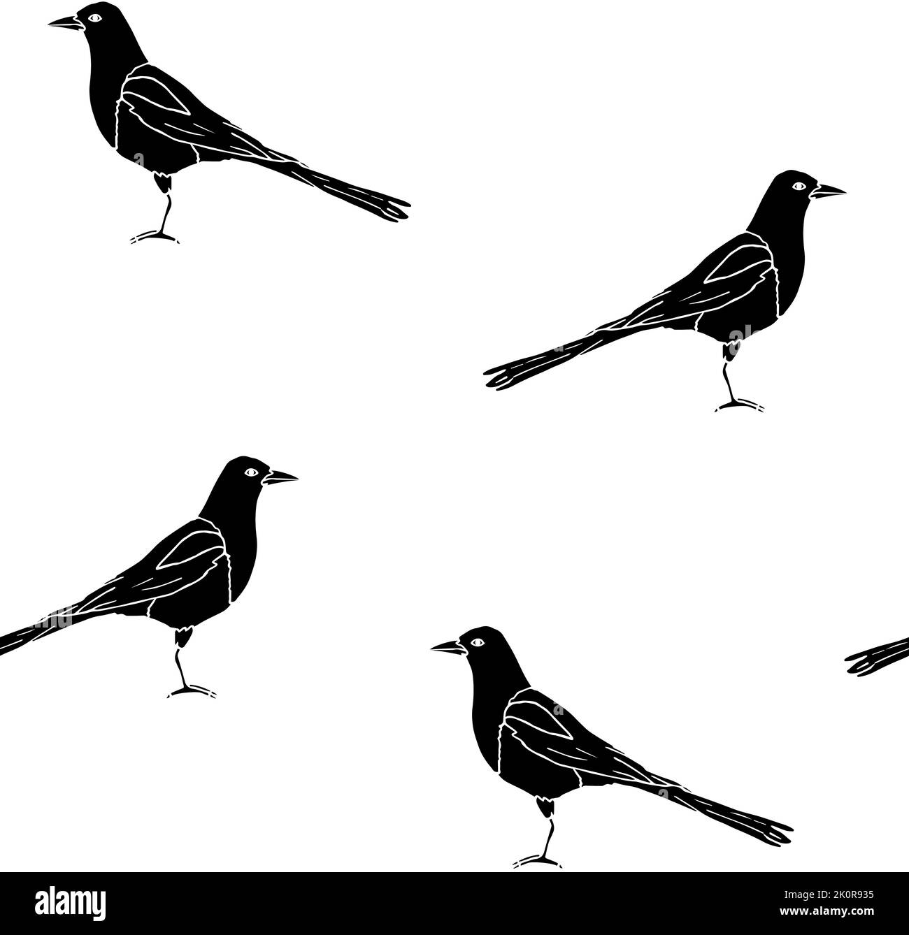 Motif vectoriel sans couture d'oiseau magpie noir Illustration de Vecteur