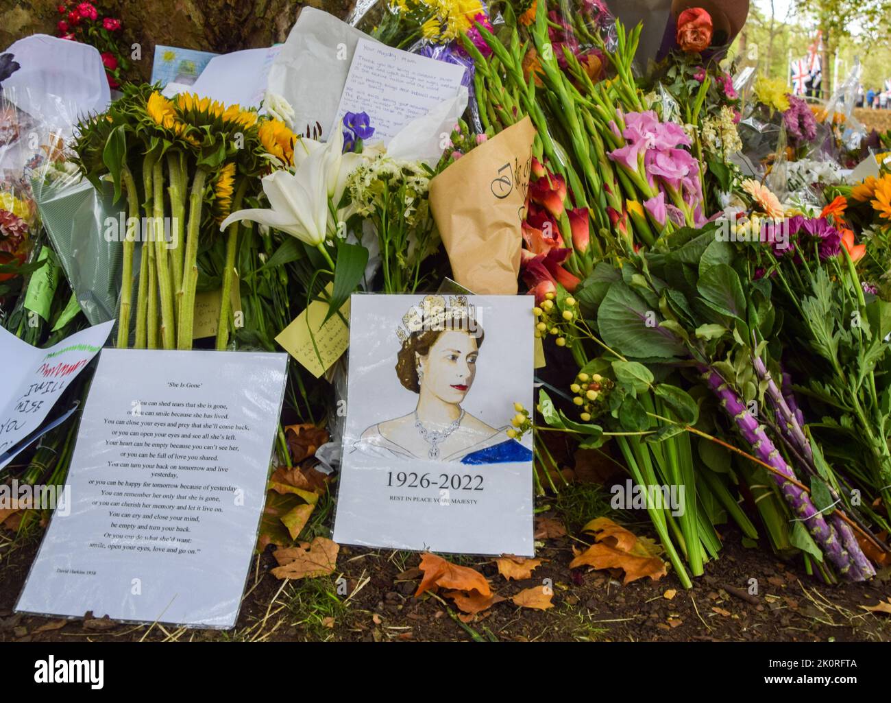 Londres, Royaume-Uni. 13th septembre 2022. Les gens continuent de laisser des fleurs et des hommages à la Reine dans le parc St James's, près de Buckingham Palace. Credit: Vuk Valcic/Alamy Live News Banque D'Images