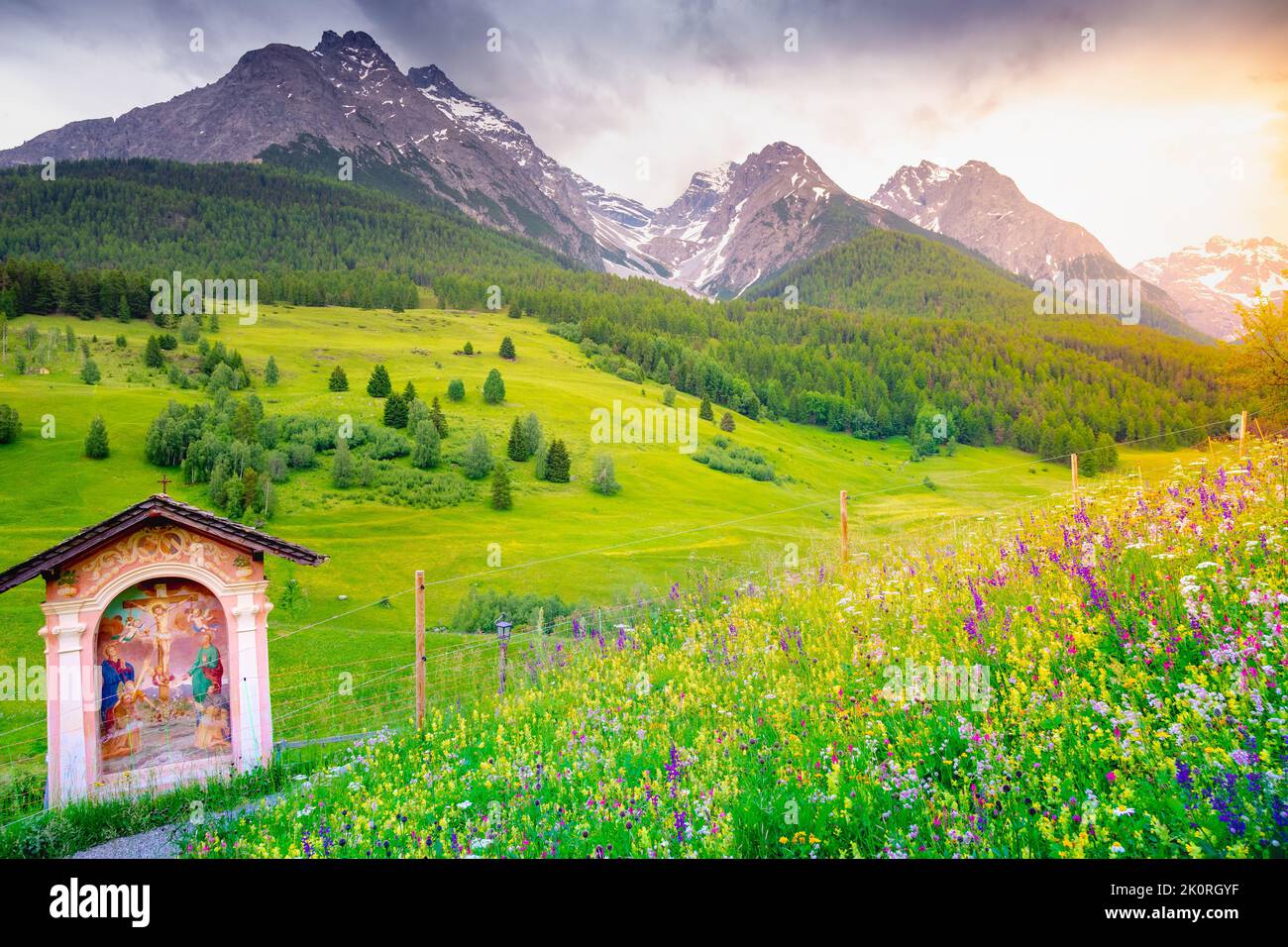Tarasp aux fleurs sauvages colorées et aux prairies au printemps, Engadine, Alpes suisses Banque D'Images