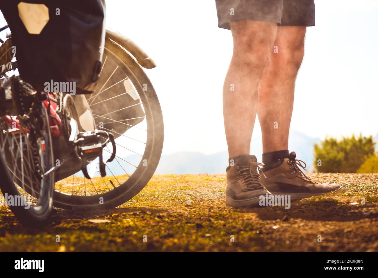 Chargé de sacs, des stands de vélo rouges sur le côté de la route entourée de vaches dans une campagne du parc national de Kazbegi. Vacances à vélo. Banque D'Images