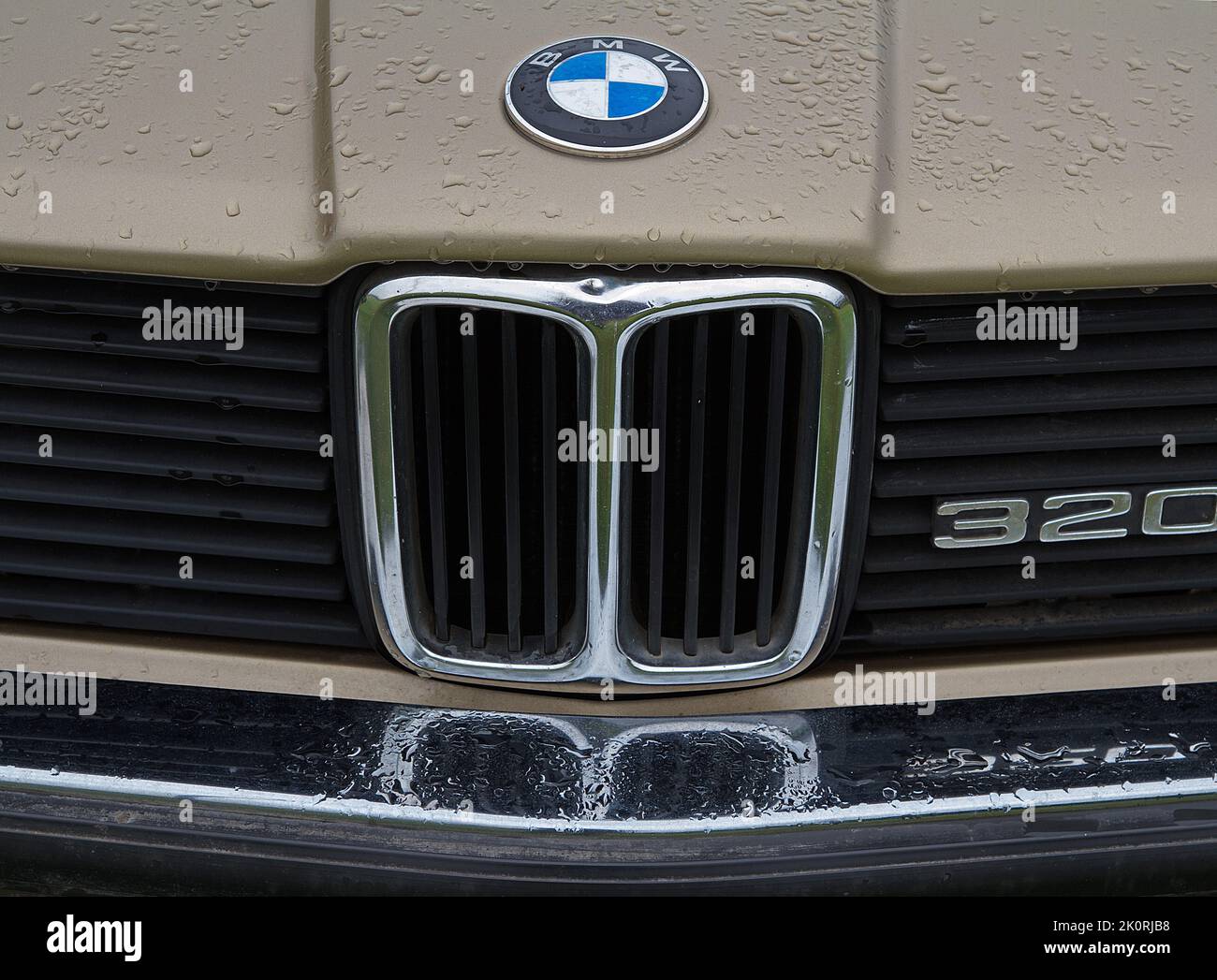Capot, radiateur et badge d'une BMW 320 d'époque Banque D'Images