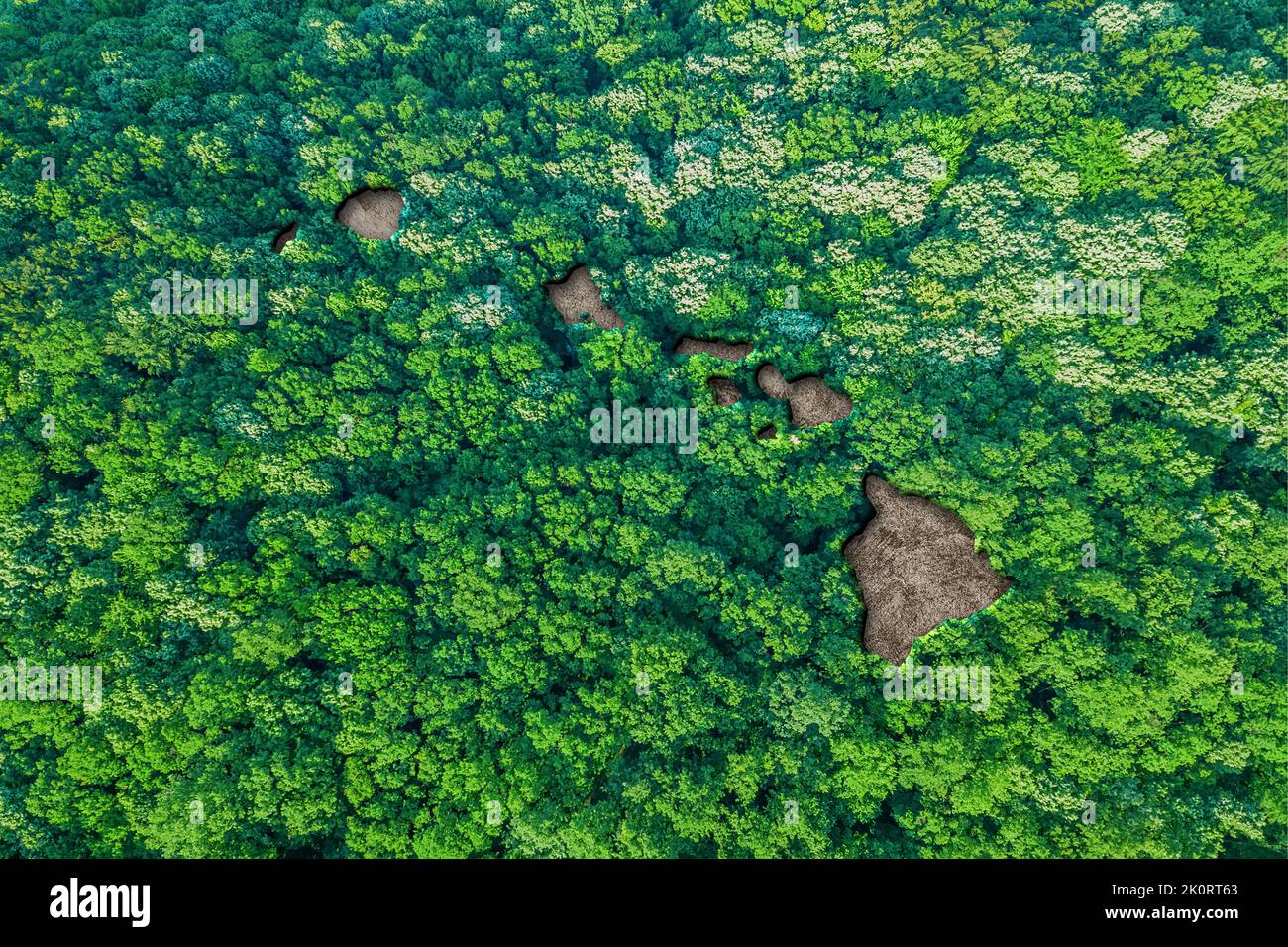 Carte de l'habitat durable d'Hawaï, concept d'environnement Banque D'Images
