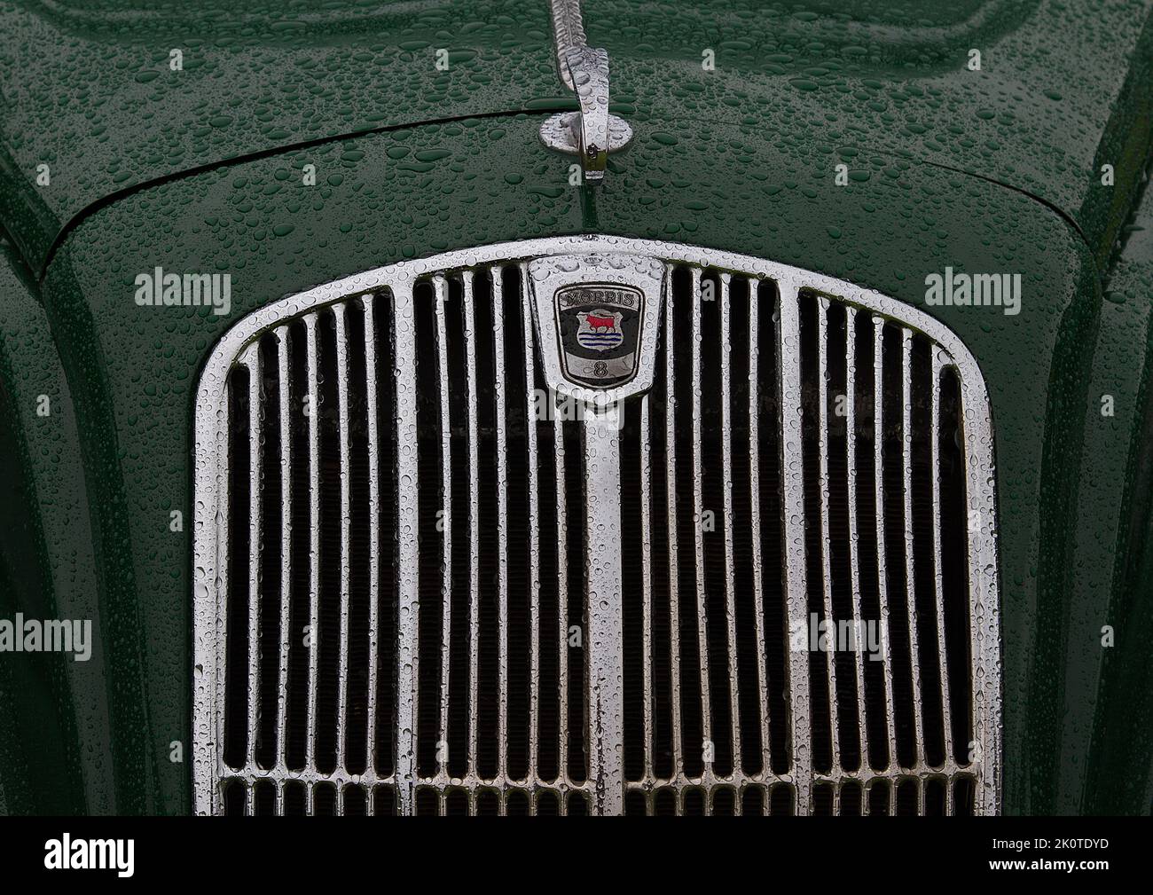 Morris vintage Capot de voiture, radiateur et badge Banque D'Images