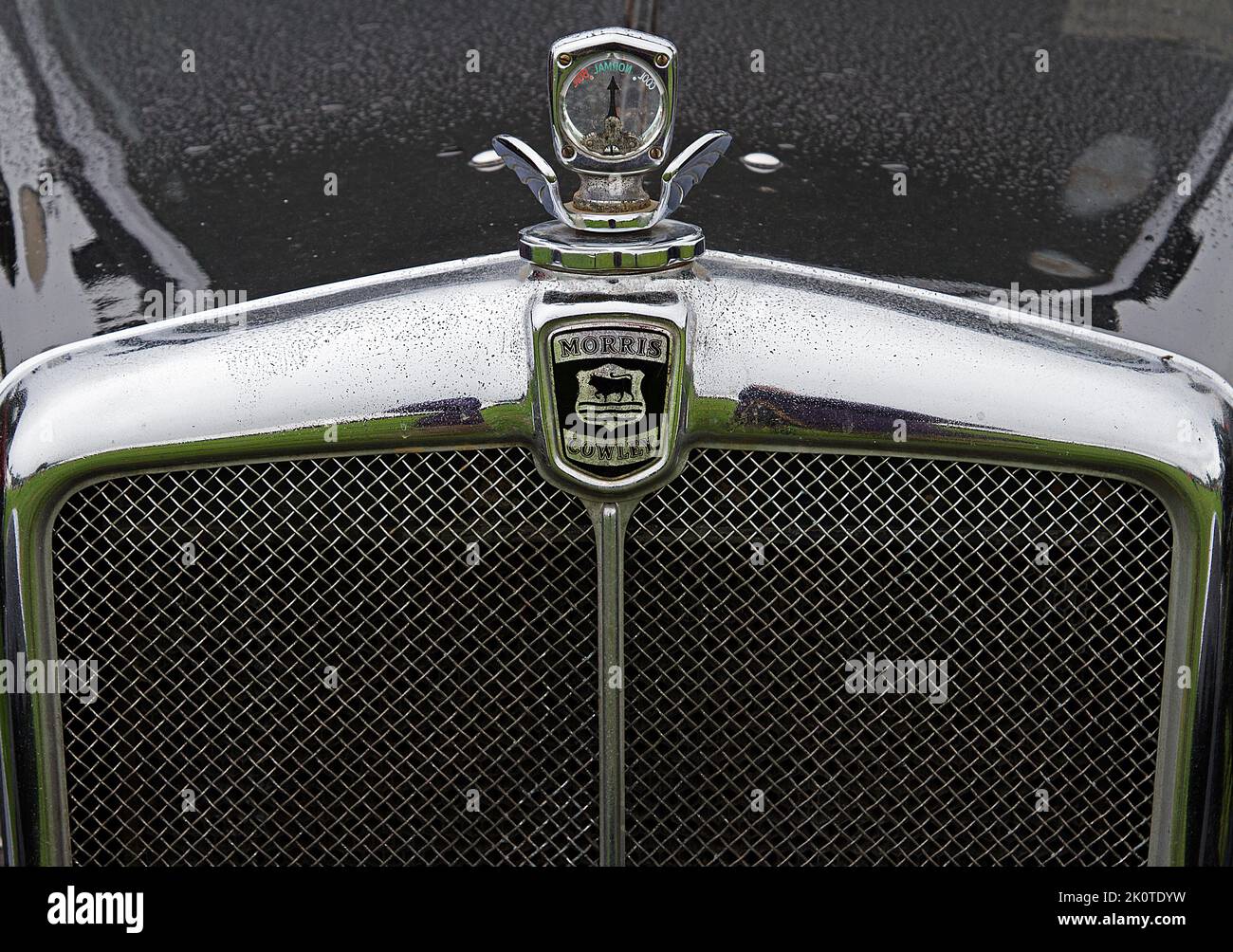 Morris vintage Capot de voiture, radiateur et badge Banque D'Images