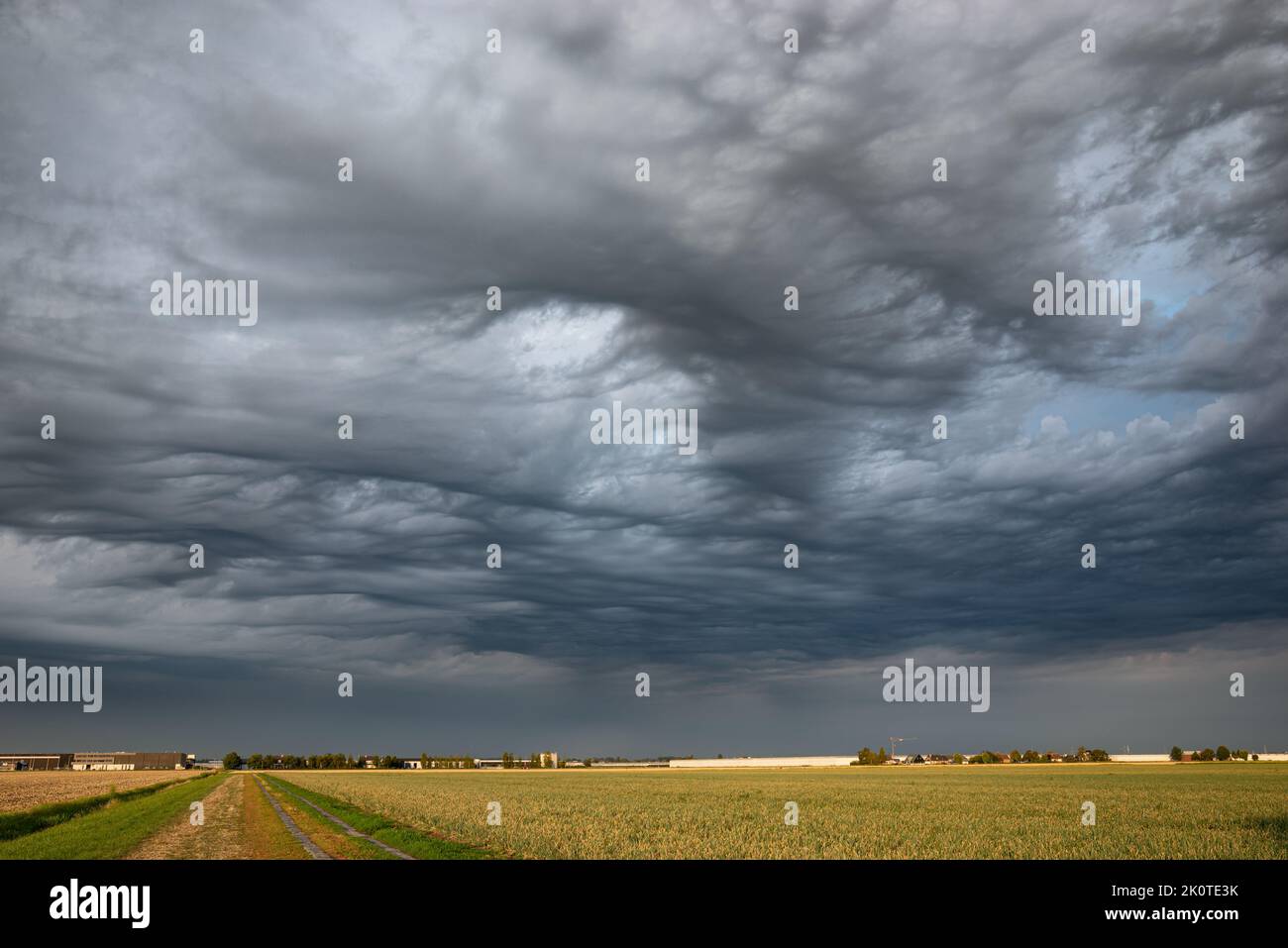 Ciel de tempête sinistre au-dessus de la campagne. Ces nuages dramatiques sont connus en météorologie sous le nom d'altocumulus asperitas. Banque D'Images