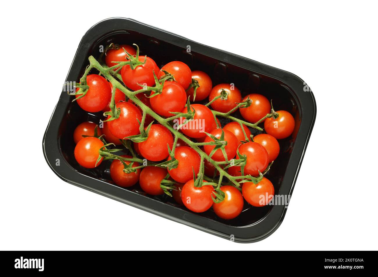 Tomates cerises Piccolo sur la vigne en plateau plastique tiré par le dessus découpé Banque D'Images