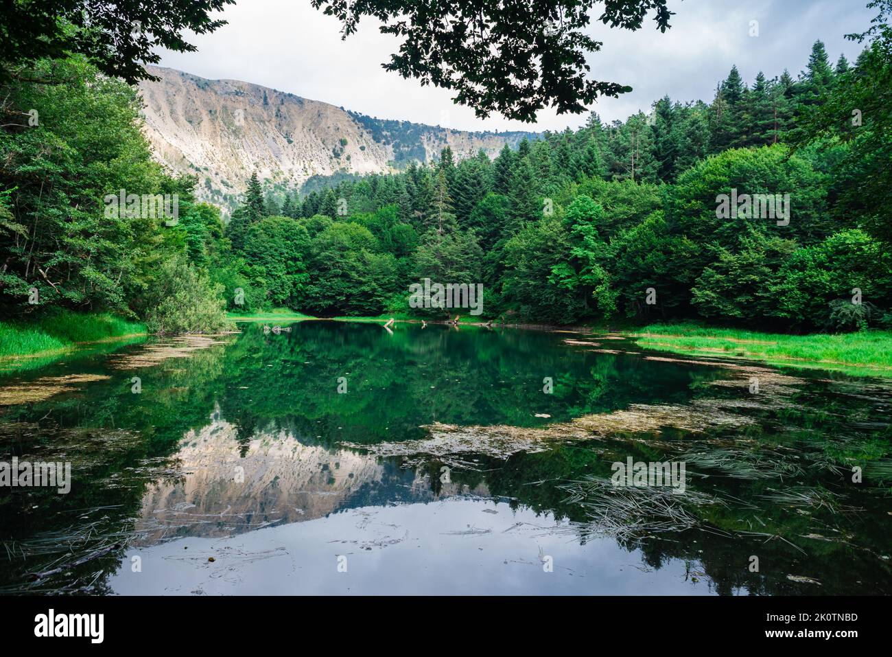 Formation de lacs intacts dans la forêt , paysages forestiers colorés , lac Suluklu , l'un des parcs nationaux en Turquie Banque D'Images