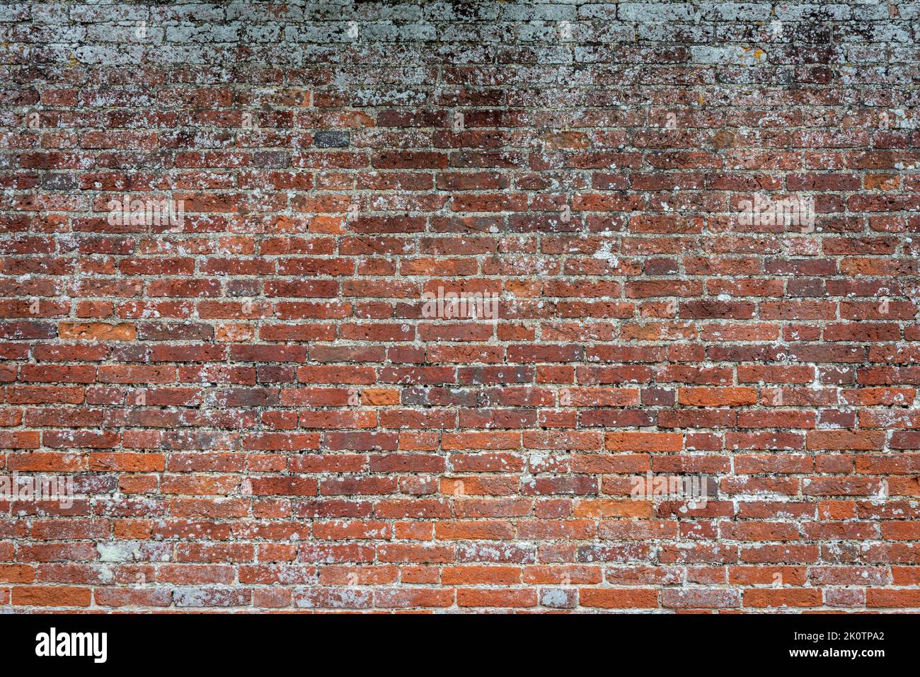 Vieux mur de briques rouges, texture. Banque D'Images