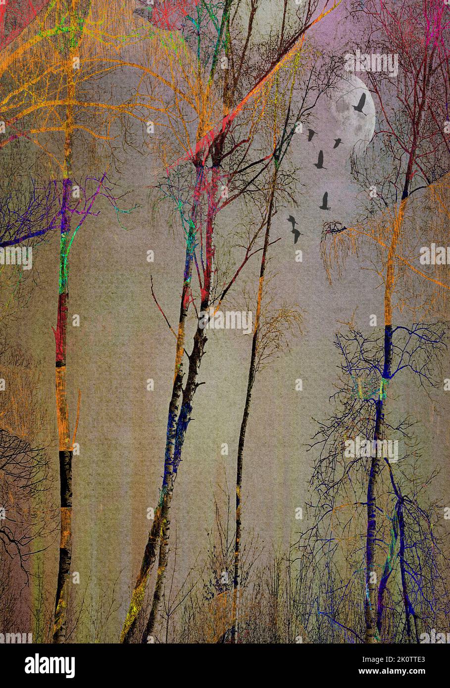 ART CORPORATIF MODERNE: Flying High par Edmund Nagele F.R.P.S. Banque D'Images