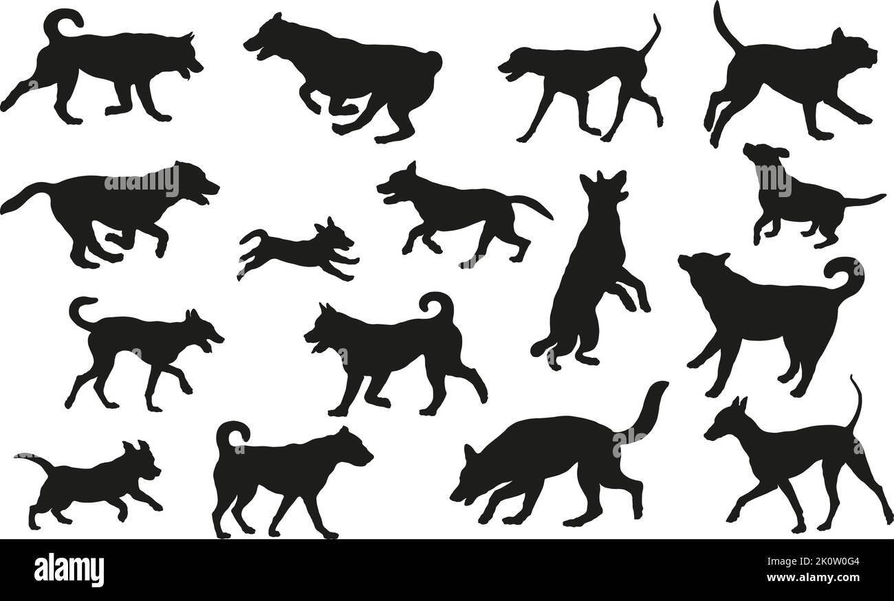 Groupe de chiens de différentes races. Silhouette de chien noire. Course à pied, debout, marche, saut, reniflage des chiens. Isolé sur un fond blanc. Animaux de compagnie. Illustration de Vecteur