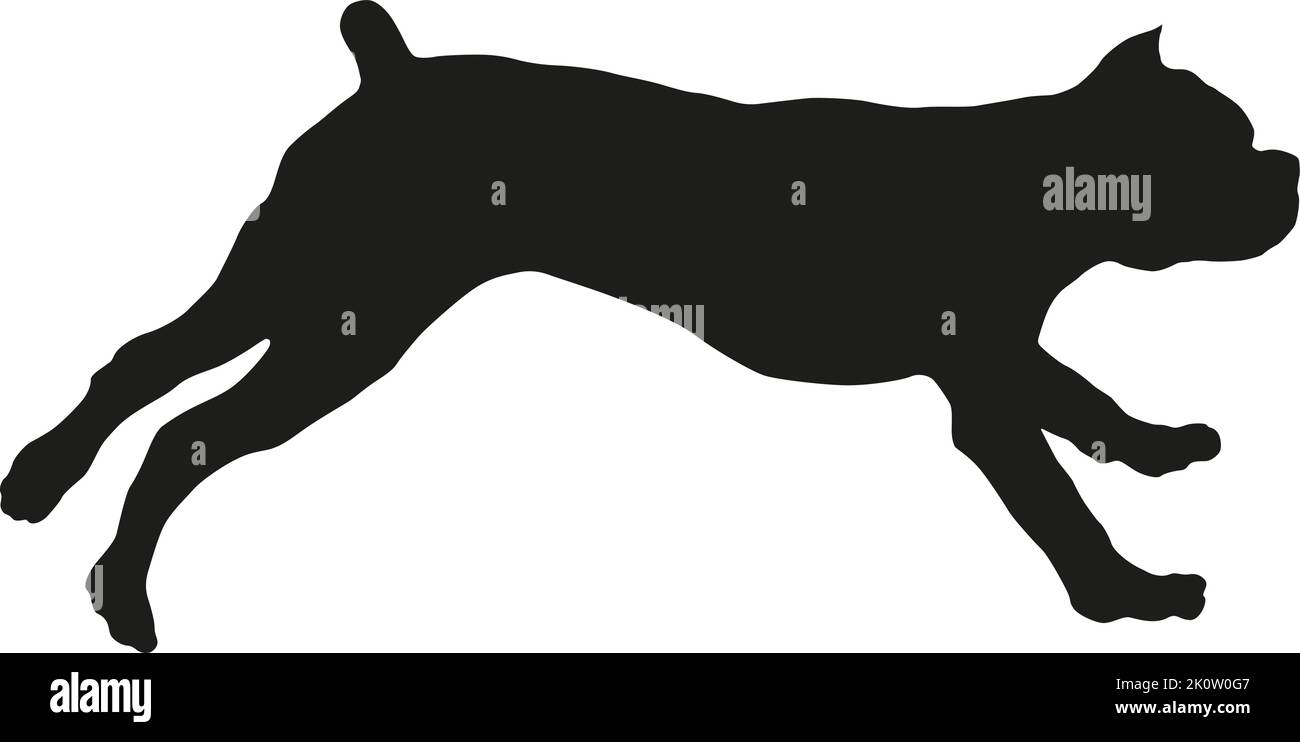 Un chiot à la course et au saut du mastiff italien. Chien italien corso. Silhouette de chien noire. Animaux de compagnie. Isolé sur un fond blanc. Illustration vectorielle. Illustration de Vecteur