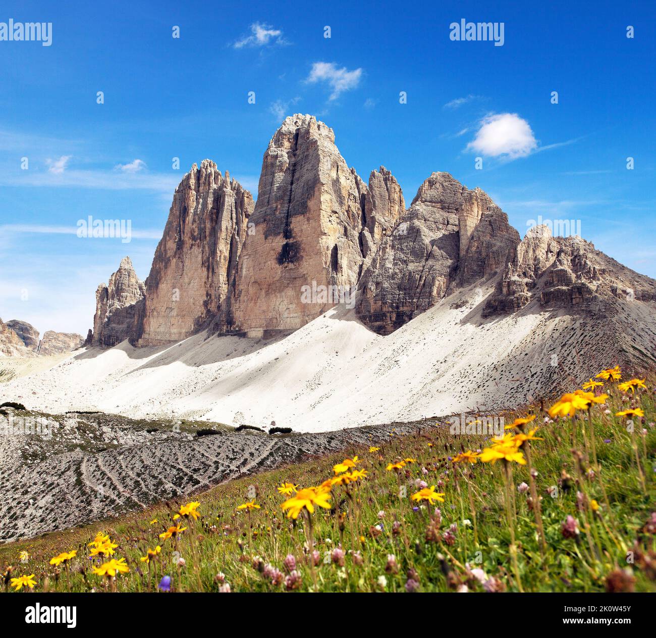 Drei Zinnen ou Tre Cime di Lavaredo avec belle prairie à fleurs, Sextener Dolomiten ou Dolomiti di Sesto, Tirol du Sud, vue sur les Dolomites, I Banque D'Images