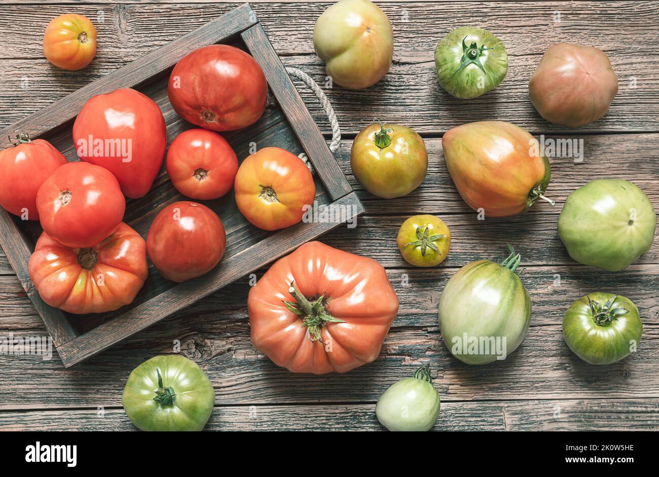Tomates biologiques multicolores non traitées sur une table en bois, vue du dessus Banque D'Images