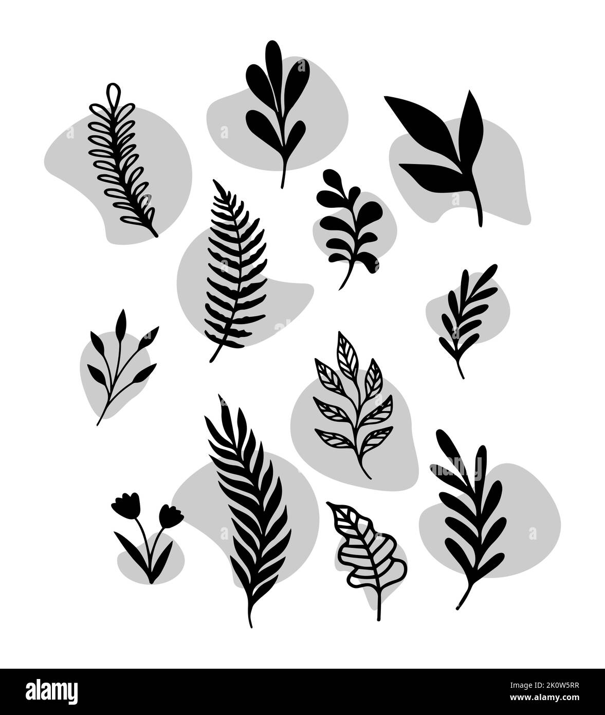 Milieu du siècle moderne contemporain Art botanique mur d'affiche Art moderne Abstract feuilles de feuillages formes organiques. Vector Design pour social Media Print Illustration de Vecteur