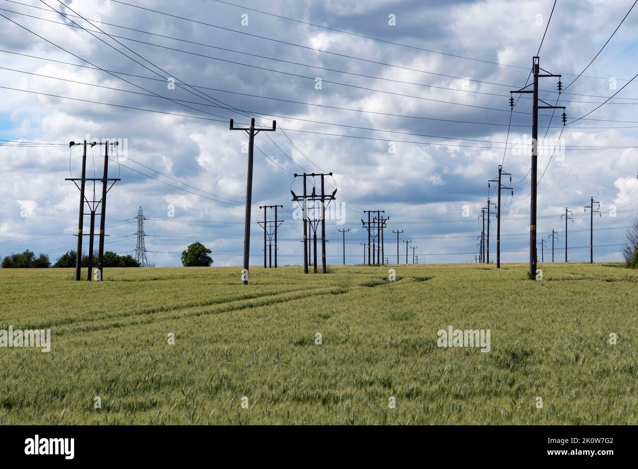 Pylônes dans un champ vert, paysage aux gratte-ciel spectaculaires, Stanford-le-Hope, Essex, Angleterre, Royaume-Uni. Banque D'Images