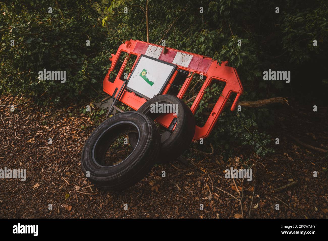 Pneus abandonnés dans la forêt. Banque D'Images