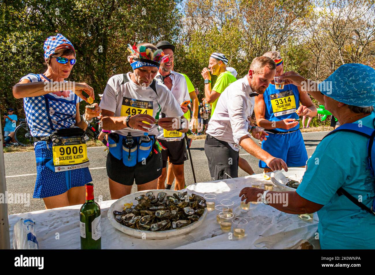 Huîtres de l'estuaire de la Gironde. C'est là que de nombreux coureurs les attrape. Il ne reste que quelques kilomètres à la ligne d'arrivée du Marathon des Châteaux du Médoc 36th et les huîtres fournissent de l'énergie. Les huîtres sont l'une des spécialités culinaires de la Nouvelle-Aquitaine. Un total de 18 000 huîtres de taille 4 ont été préparées ce jour. Lesparre-Médoc, France Banque D'Images