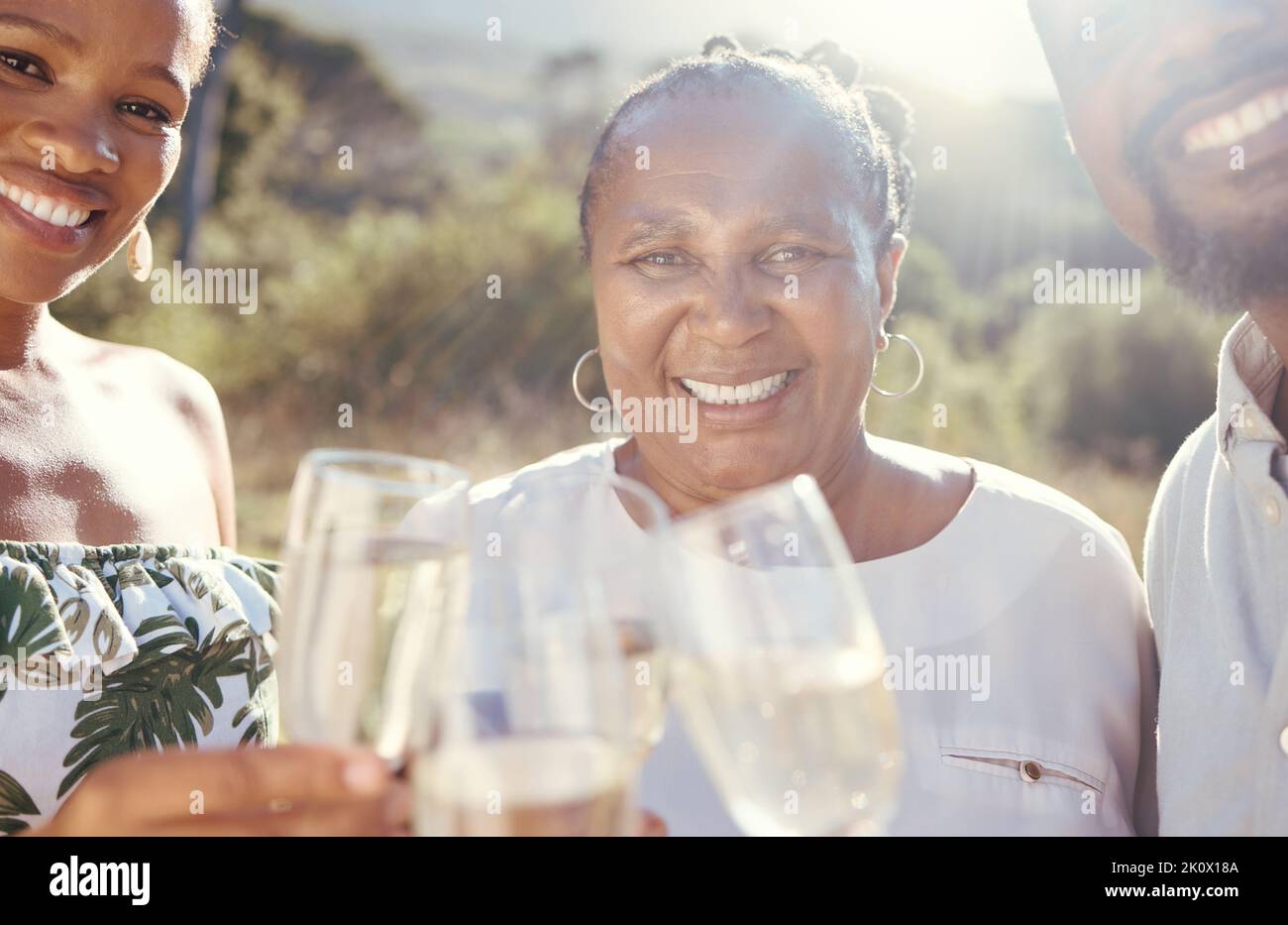 Famille noire avec un verre de vin dans la nature donnant un toast à célébrer dans la campagne. Portrait de heureux Africains buvant du champagne de luxe Banque D'Images